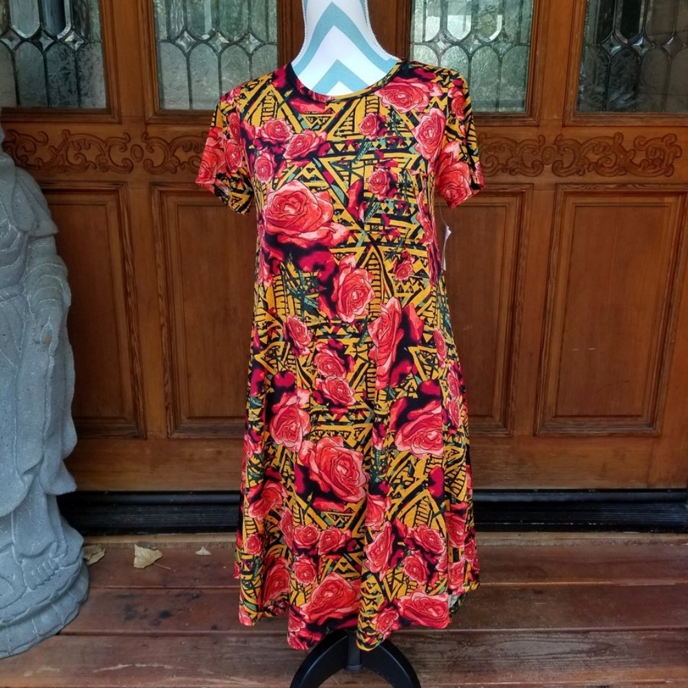 BNWT LuLaRoe Dress